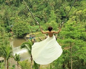 Ubud: Monkey Forest, Jungle Swing, Rice Terrace, and Water Temple